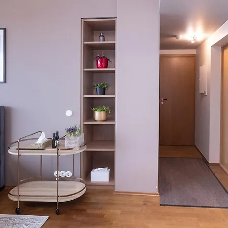 Daire Revalia Fahle Airport Bus-station With Views Tallinn